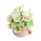 thumbnail image 3 of Planta En Maceta En Miniatura, 1/12, Dormitorio, Modelo De Flor Artificial, Suministros De Paisaje, 3 of 5
