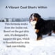 thumbnail image 2 of Suplemento en polvo PetCultures Skin & Coat Tribiotic Dog, 2 of 7