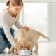 thumbnail image 5 of Cuenco de acero inoxidable para perros y gatos, antideslizante, con base de goma antiderrames., 5 of 5