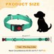 thumbnail image 2 of Collar Reflectante para Perros Uxcell, Collar de Entrenamiento Ajustable Antitirones de Nylon, 2 of 7