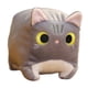 thumbnail image 2 of Cojín De Juguete De Felpa Para Gato, Juguete De Gato De Peluche Lindo Para Niños Y Niñas, Regalo De Vacaciones, Gris, 2 of 3