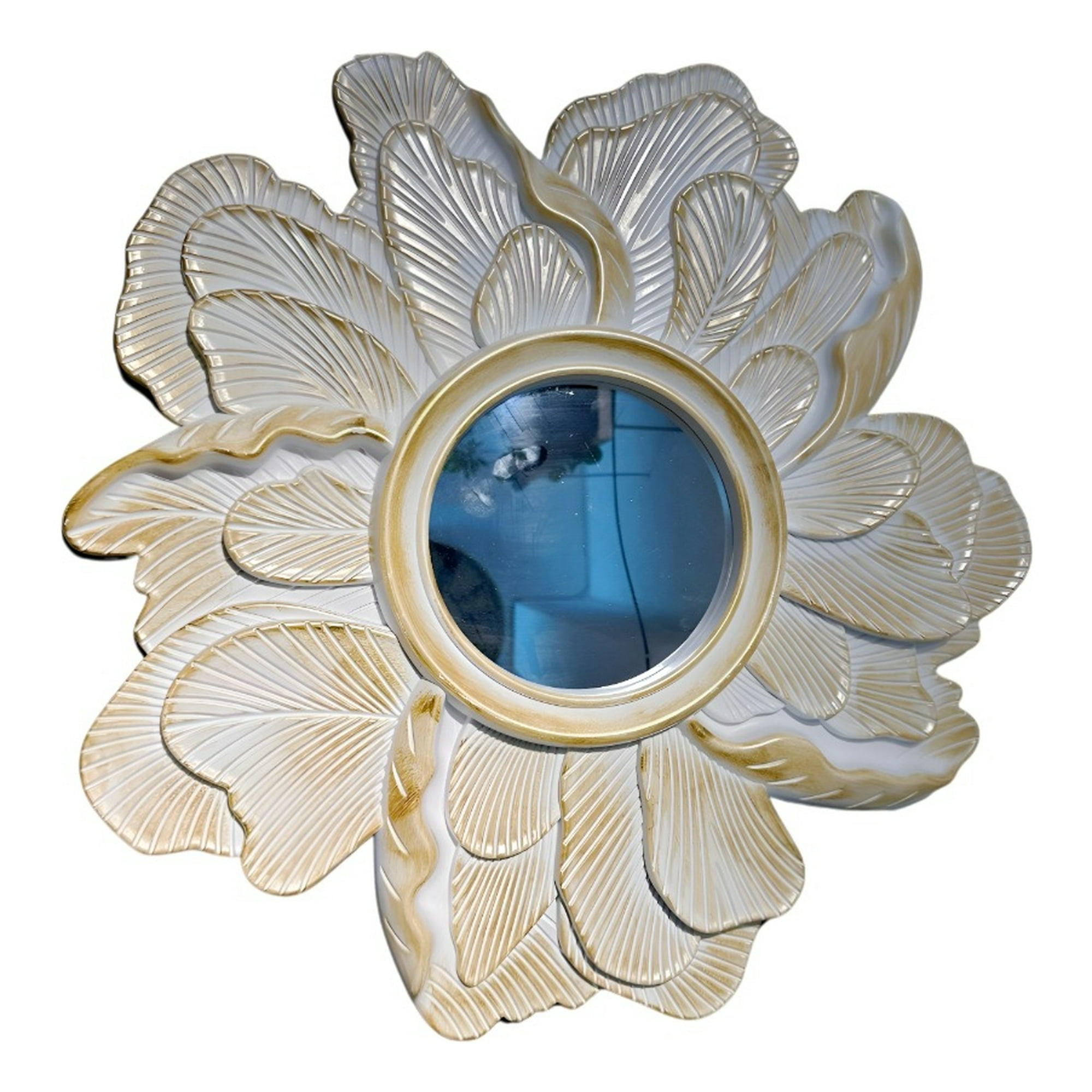 Genérico - Espejo Decorativo Pared Resina Pétalos Rosa Jhn