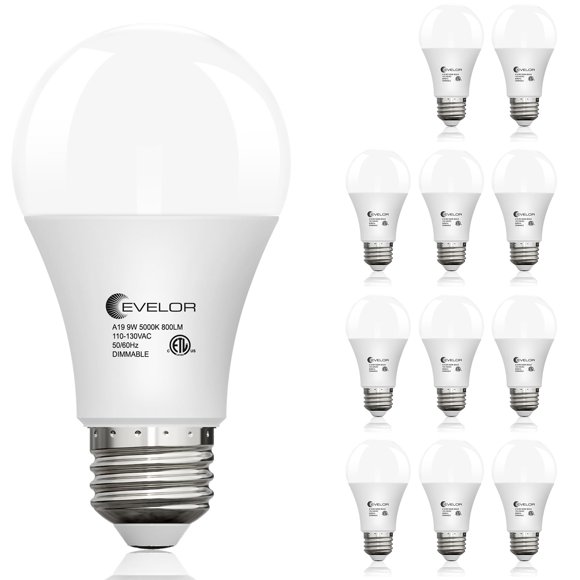 Bombilla LED evelor A19 9W 5000K regulable – Pack de 12