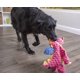 thumbnail image 5 of Juguete para perros GoDog Bubble Plush Dragons Squeaky Chew Guard Coral, 5 of 9