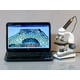 thumbnail image 2 of Microscopio monocular compuesto AmScope M150-MS 40x-400x, 2 of 5