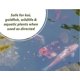 thumbnail image 5 of Control de algas Sanco Industries 3,78 L seguro para koi y pez dorado, 5 of 9