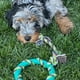 thumbnail image 3 of Chew Toys Rocket & Rex, paquete de 6 unidades para perros pequeños y medianos, 3 of 9