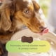 thumbnail image 3 of Suplemento Flo Dog Cranberry, 3 of 9