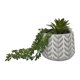 thumbnail image 1 of Planta Artificial suculenta colgante, 1 of 4