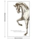 thumbnail image 3 of 1pc Cartoon Animal Horse Wall Sticker Removable Sticker PVC Decal Mural Home Living Room Bedroom Decoration Wall Art, 3 of 5