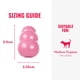 thumbnail image 3 of Goma De Dentición Natural Chew Toy Puppy Para Perros Medianos, 3 of 9