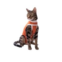 Body Cobre Kimba Tradicional Talla 0.0 (0 A 1.5 Kg) Naranja 0.0