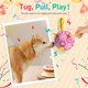 thumbnail image 3 of Juguete para perros QDAN Pelota de fútbol con correas rosa, 3 of 8
