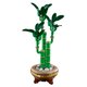 thumbnail image 4 of Bloques de construcción Lego Bambu de La Suerte, 4 of 4