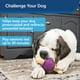 thumbnail image 4 of Juguete para perros PetSafe Busy Buddy Bouncy Bone para perros grandes, 4 of 6