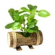 thumbnail image 5 of Plantas Verdes En Macetas Artificiales Plantas En Macetas Pequeñas Para Estante Farmhouse Style D, 5 of 5