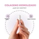 thumbnail image 5 of Colágeno Hidrolizado 90 Capsulas 500mg Nutrilife+ Bienestar Sin Sabor, 5 of 10