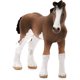 thumbnail image 2 of Figura Schleich Potrillo Clydesdale 3.4 x 3.4 x 3.1 in, 2 of 3