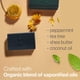 thumbnail image 4 of Jabón facial en barra Beauty by Earth Peppermint Tea Tree Charcoal, 4 of 8