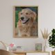 thumbnail image 5 of Golden Retriever Kits de Pintura de Diamantes para Adultos 5D DIY Diamond Art Kits Full Drill Diamond Dots para Regalo Decoración de Pared y Relajación Artes de Gemas 30*40cm, 5 of 6
