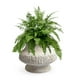 thumbnail image 3 of Maceta Myconos Copa Blanco Roto BVS, 3 of 3