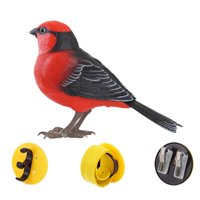 Bothyi - Juguete Eléctrico Para Jaula De Periquitos Y Loros, Juguete Eléctrico Para Cantar Y Gorjear, Para Niños, Pájaro Tirano