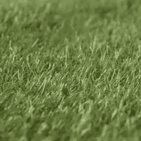 Genérico - Pasto Sintético 20 Mm Rollo 1X1 M
