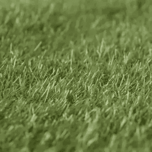 Genérico - Pasto Sintético 20 Mm Rollo 1X1 M