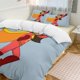 thumbnail image 2 of WordGirl Cartoon Bedding Sets Ultra Soft Skin-Friendly Duvet Cover 3 Piece, Cute Comforter Cover Bed Set for Boys Girls Kids, 2 of 5