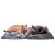thumbnail image 1 of Cama Autocalentable Thermanap Para Perros Y Gatos Color Gris, 1 of 9