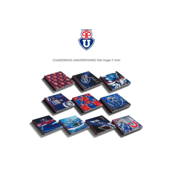 Pack 10 Cuadernos Universitarios Universidad De Chile