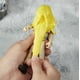 thumbnail image 2 of Figura de acción Ghostbusters Fright con Gary Grooberson, 2 of 3
