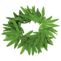 Diadema Beistle Tropical Fern Leaf, Paquete De 12 Unidades, Color Verde