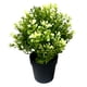 thumbnail image 4 of Planta artificial 9x24cm, 4 of 9