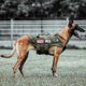 thumbnail image 1 of Arnés táctico para perro PETAC GEAR L Militar con sistema Molle, talla RG, 1 of 6