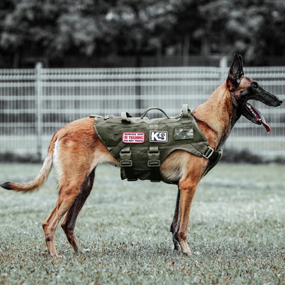 Arnés táctico para perro PETAC GEAR L Militar con sistema Molle, talla RG