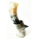 thumbnail image 3 of Tazas Vikingas de Cuerno para Bebidas 10 oz | Copas Hechas a Mano de Cuerno Real de 9"-12" para Ale, Vino, Cerveza, Cáliz Nórdico, Tanque, 3 of 3