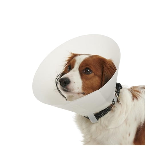 Collar Isabelino Para Mascotas Buster Classic 12,5 Cm
