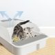 thumbnail image 3 of Arenero Abierto Grande Para Gatos, 3 of 4