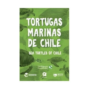 Fce Chile - El Estadio De ""La U"". Un Sueño Arrebatado Por La Dictad /275