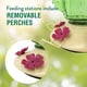 thumbnail image 4 of Comedero para colibríes Perky-Pet 9111-1SR de cristal 950 ml, 4 of 8
