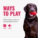 thumbnail image 5 of Fetch Toy KONG Bounzer XL para perros, 5 of 8