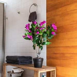 Vadell Home - Arbusto De Bugambilia Fucsia De 70 Cm