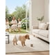 thumbnail image 2 of Pañales Desechables Perro Macho PETSHOW Talla M x 24 Unidades, 2 of 6