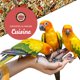 thumbnail image 4 of Alimento para aves LEACH GRAIN & MILLING CO. para cacatúa 1,8 kg, 4 of 6