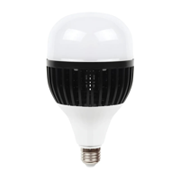 Genérico - Ampolleta Led Alta Potencia 100W Luz Fria 6500K Blanco Frío
