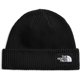 thumbnail image 1 of Gorro The North Face Salty Dog Forrado con DobleZ, 1 of 3