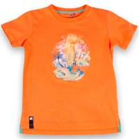 Polera Niño Naranjo Pillin