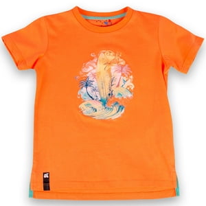 Polera Niño Naranjo Pillin