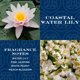 thumbnail image 2 of Difusor de varillas Homeworx Frozen Balsam, 2 of 6
